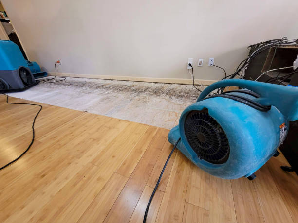 Professional Flood Damage Cleanup technician working in Kindred, ND